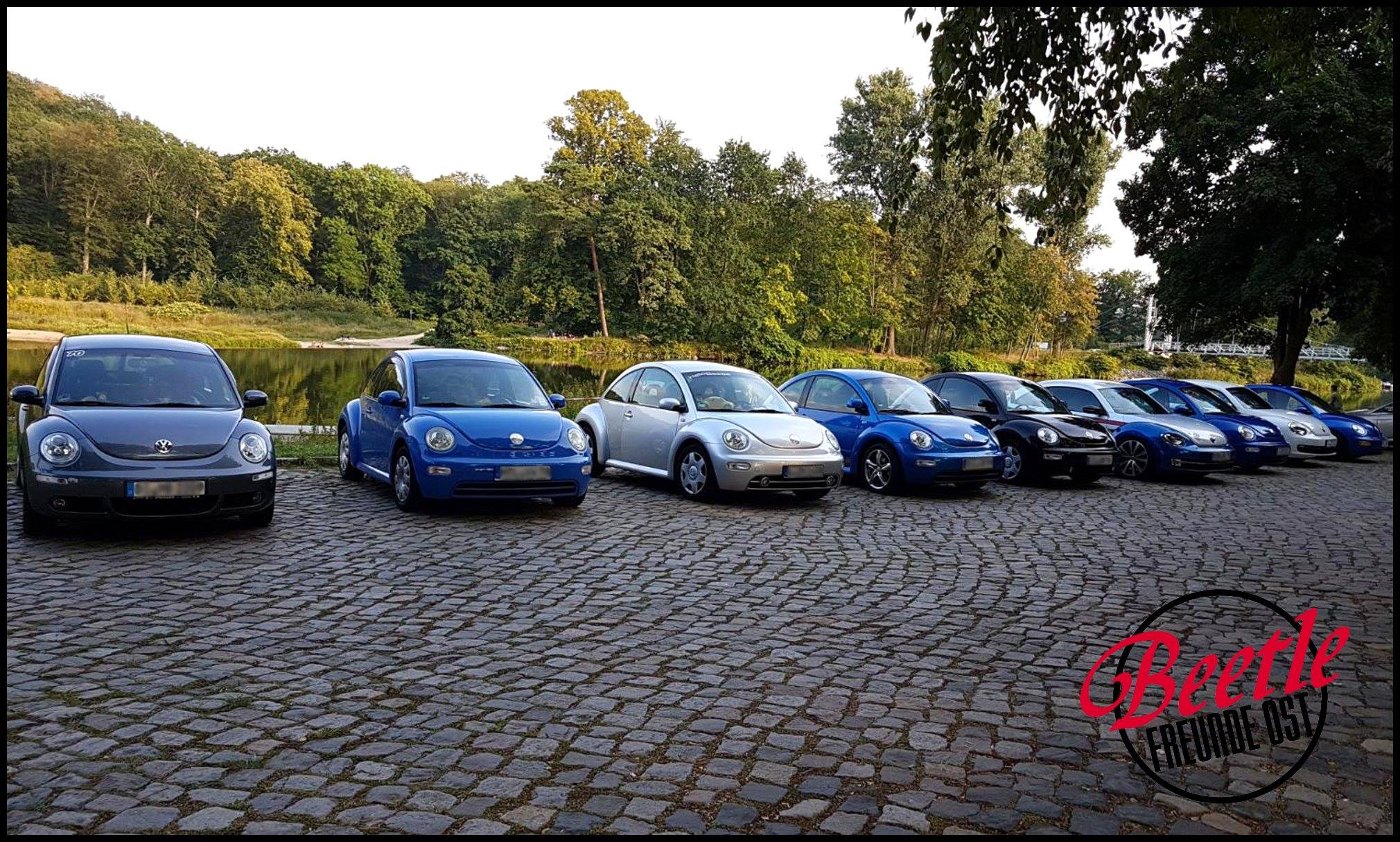 b1